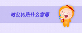 對公轉(zhuǎn)賬什么意思