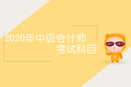 2020年中級(jí)會(huì)計(jì)師考試科目具體都是什么？
