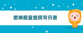繳納稅金如何寫分錄