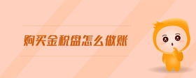 購買金稅盤怎么做賬