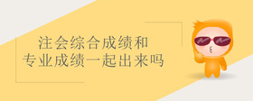 注會(huì)綜合成績(jī)和專業(yè)成績(jī)一起出來嗎