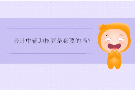 會(huì)計(jì)中輔助核算是必要的嗎？
