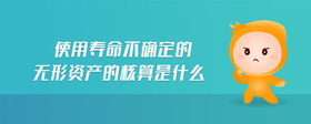 使用壽命不確定的無形資產(chǎn)的核算是什么