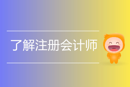 報(bào)考不再猶豫！一文帶你了解注冊(cè)會(huì)計(jì)師的方方面面！