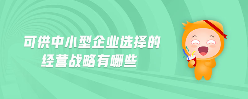 可供中小型企業(yè)選擇的經(jīng)營(yíng)戰(zhàn)略有哪些