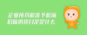 企業(yè)所得稅準予稅前扣除的項目是是什么
