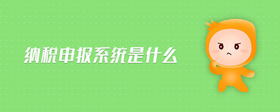 納稅申報(bào)系統(tǒng)是什么