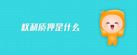 權(quán)利質(zhì)押是什么