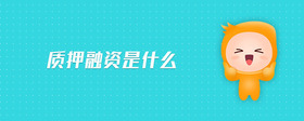 質(zhì)押融資是什么