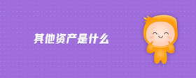 其他資產(chǎn)是什么