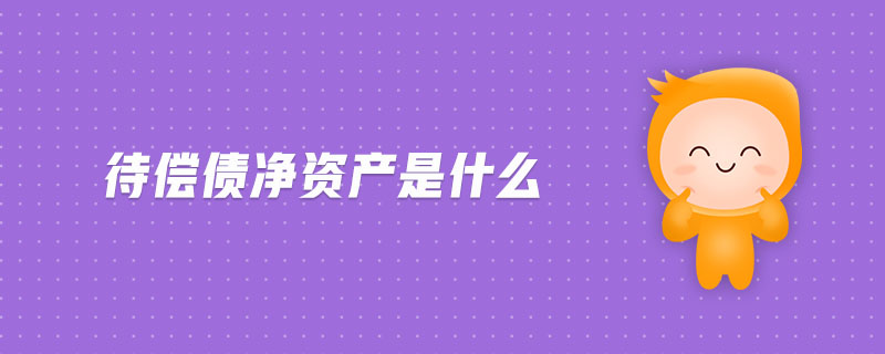 待償債凈資產(chǎn)是什么