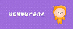 待償債凈資產是什么