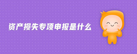 資產(chǎn)損失專項申報是什么