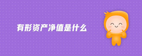 有形資產(chǎn)凈值是什么