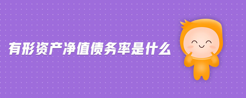 有形資產(chǎn)凈值債務(wù)率是什么