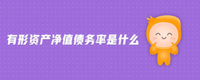 有形資產(chǎn)凈值債務率是什么