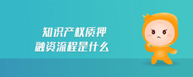 知識產(chǎn)權(quán)質(zhì)押融資流程是什么