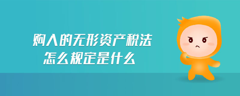 購(gòu)入的無(wú)形資產(chǎn)稅法怎么規(guī)定是什么