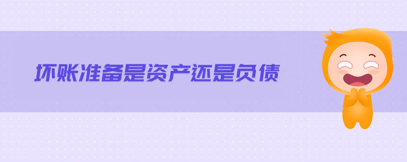 壞賬準(zhǔn)備是資產(chǎn)還是負(fù)債