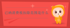 已納消費(fèi)稅扣除范圍是什么