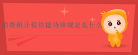 消費(fèi)稅計(jì)稅依據(jù)特殊規(guī)定是什么