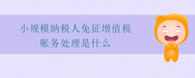 小規(guī)模納稅人免征增值稅賬務(wù)處理是什么