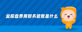 金稅盤費(fèi)用財(cái)務(wù)做賬是什么