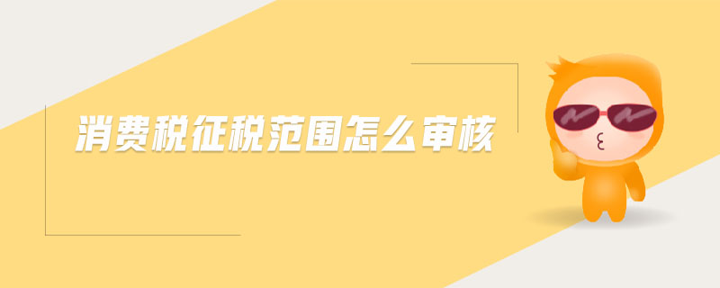 消費(fèi)稅征稅范圍怎么審核