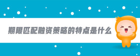 期限匹配融資策略的特點(diǎn)是什么