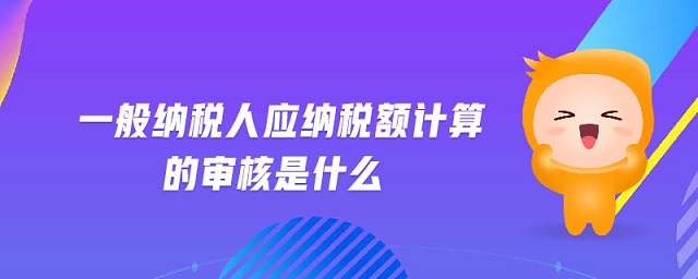 一般納稅人應納稅額計算的審核是什么