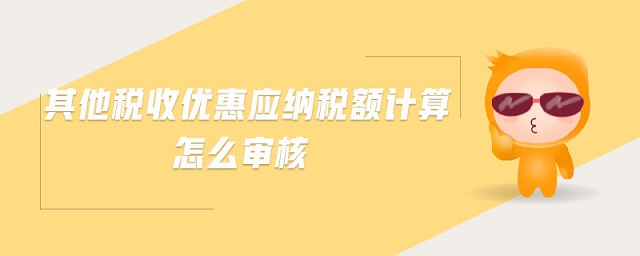 其他稅收優(yōu)惠應(yīng)納稅額計算怎么審核