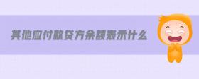 其他應(yīng)付款貸方余額表示什么