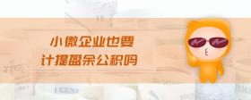 小微企業(yè)也要計提盈余公積嗎