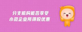 分支機構(gòu)能否享受小微企業(yè)所得稅優(yōu)惠