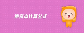 凈資本計(jì)算公式