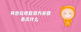 其他應(yīng)收款借方余額表示什么