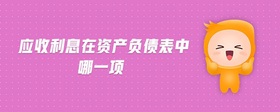 應(yīng)收利息在資產(chǎn)負(fù)債表中哪一項(xiàng)