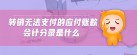 轉(zhuǎn)銷(xiāo)無(wú)法支付的應(yīng)付賬款會(huì)計(jì)分錄是什么
