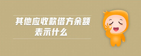 其他應收款借方余額表示什么