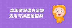 本年利潤借方余額表示虧損還是盈利