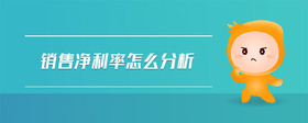 銷售凈利率怎么分析