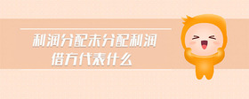 利潤(rùn)分配未分配利潤(rùn)借方代表什么