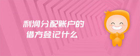 利潤分配賬戶的借方登記什么