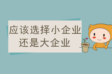 小企業(yè)還是大企業(yè)，該如何選擇？