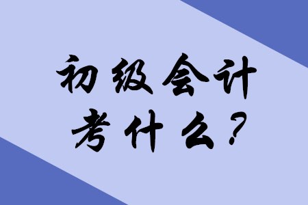 2020年初級(jí)會(huì)計(jì)職稱考試主要考什么內(nèi)容？