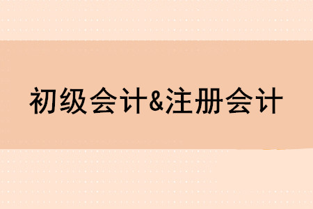 初級會(huì)計(jì)師和注冊會(huì)計(jì)師有哪些區(qū)別？