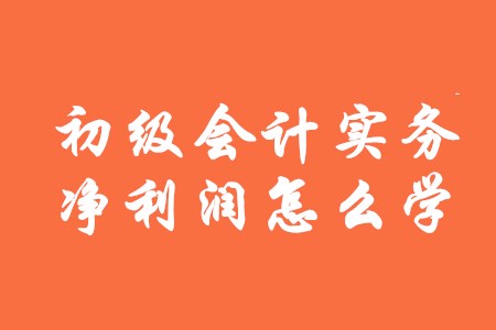 初級會(huì)計(jì)實(shí)務(wù)中凈利潤該怎么學(xué)？