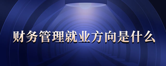 財(cái)務(wù)管理就業(yè)方向是什么