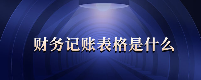 財務(wù)記賬表格是什么