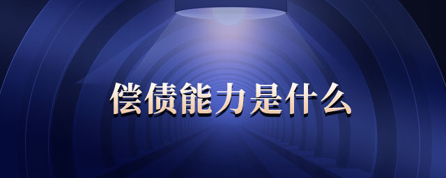 償債能力是什么